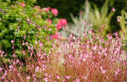 Mas Montbrio Belvedere - Foto 56