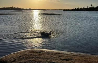 Casa da Lagoa near Barrinha - Foto 44