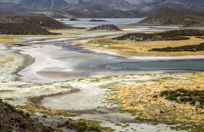 Tour de 5 días por Parinacota y Taapacá - Foto 6