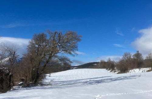 Maison ambiance chalet - Foto 14