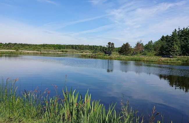 5 Star Holiday Home in Vinderup - Foto 23
