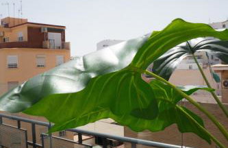 Andalusian Stay I - Foto 68