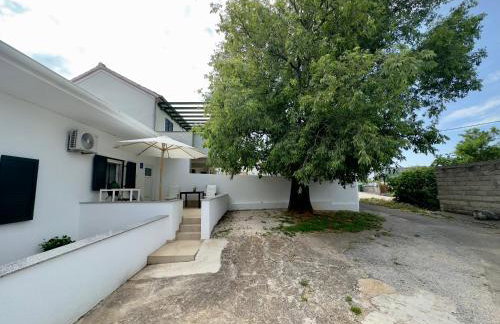 Matek family & studio apartment Rovanjska - Foto 13