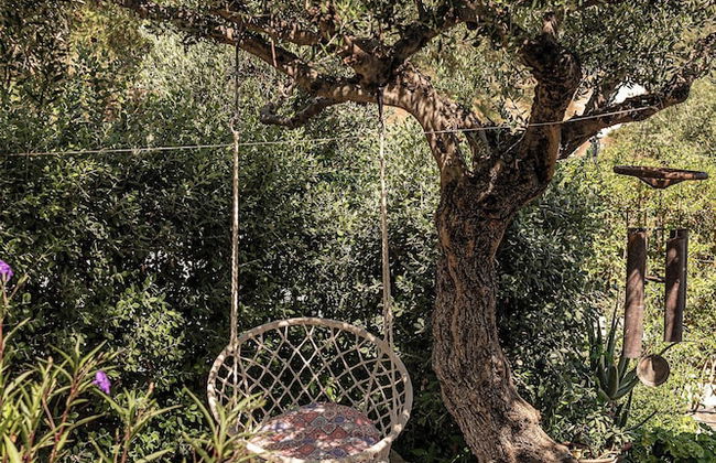 Andromia Studios - Foto 54