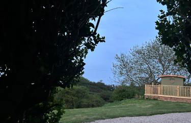 Fernlea Luxury Shepherds Hut & Hot Tub - Foto 15