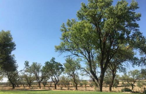 Finca El Relax Casa Rural en Colmenar de Oreja - Foto 29