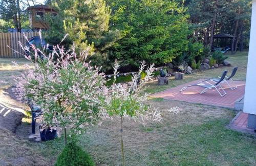 Dom letniskowy na wyłączność Polanka 11- 13 osób - Foto 21