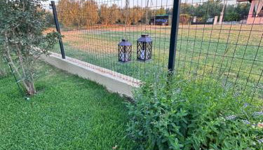 Villa Mihaila - Photo 4, Garden, Garden view