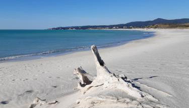 Verde Mare apartment Rosignano Marittimo - Foto 4