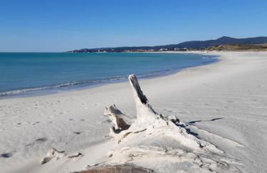 Verde Mare apartment Rosignano Marittimo - Foto 4