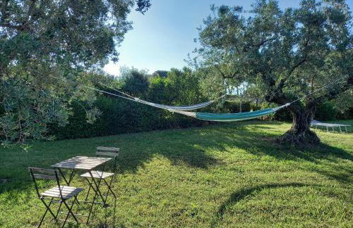 La Casina di campagna tra Cecina e Bibbona - Foto 46