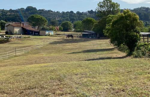La Bastide de Jean Maison de charme dans un domaine equestre privé - Foto 48
