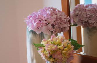 Just Like Home - Casa dos Pinheiros - Foto 17