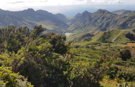 La Casita de Omar en el corazón de Anaga y La Laguna - Foto 56