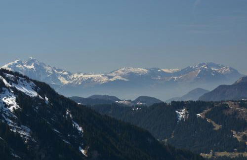 L'Ours Blanc Lodge - Photo 49