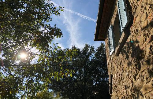 Antico Casale Silvia - Foto 10