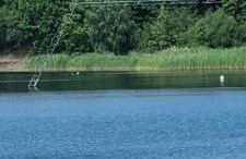 Grahl´s Ferienwohnung - Foto 54