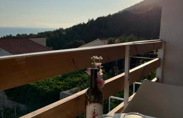 Apartmani "Nikola" Seaview - Ivan Dolac, Hvar - Foto 62