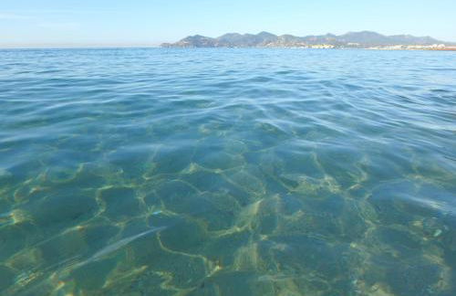 Residence Veles Plage - Foto 6