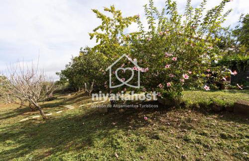 Tegas: Tacoronte, by Nivariahost - Foto 28