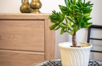 Domek na Szlaku - Foto 26