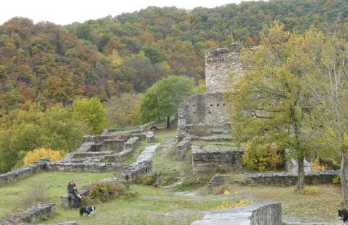 vakantiehuis Hunsrück - Foto 20