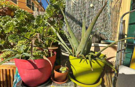 Dalla Spiaggetta a Quinto - Foto 63