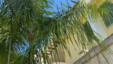 V Apartments - Foto 2