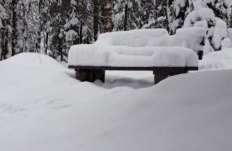 Holiday Home Jägerhaus by Interhome - Foto 42