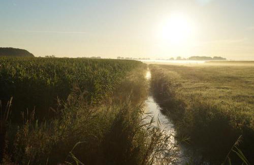 Nordseeurlaub im hochwertigen Feriendomizil Rosenhuus mit Sauna und Kamin im idyllischen Butjadingen - Foto 32