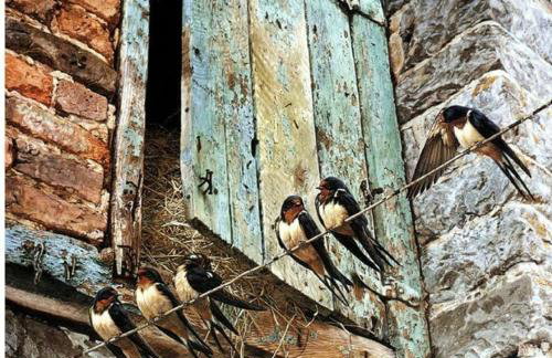 Holiday House near Split with heated pool - Photo 24