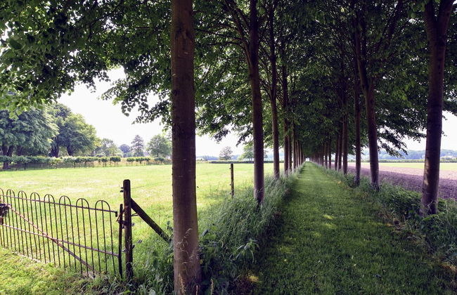 Authentic Mansion in Deil near Lake - Foto 55