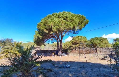 Casa con piscina privada en Sant Pol de Mar - Foto 27