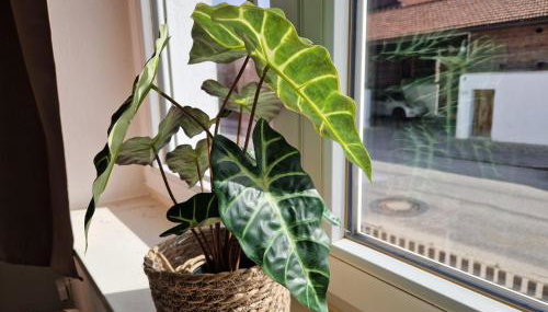 Apartment Isar - Foto 2