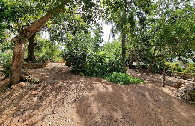 Inviting 2bedroom Apartment in the City of Tavira - Foto 24