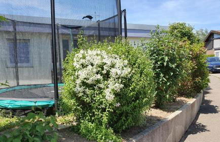 Feels like Home @ Eppinger - Foto 18