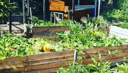 Studio Cerf, quartier marais, terrasse rez de chaussé, jardin accessible, matelas confortable - Foto 5, Garden