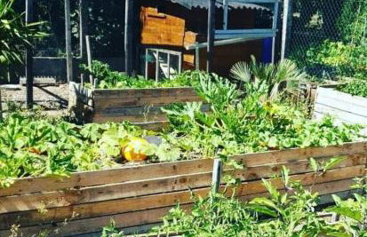 Studio Cerf, quartier marais, terrasse rez de chaussé, jardin accessible, matelas confortable - Foto 5