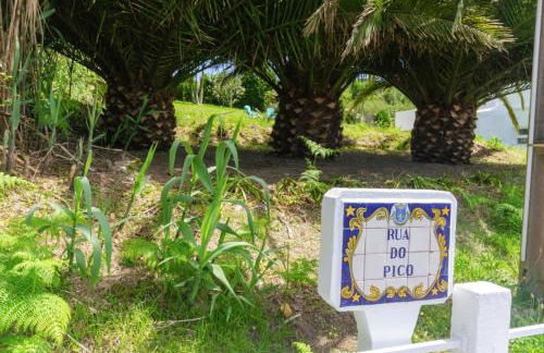 Candelária House - Photo 20