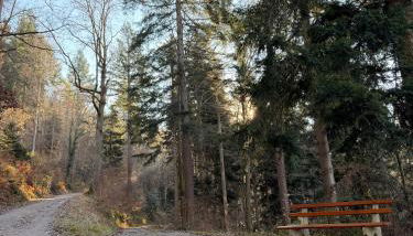 alexas forest hideaway - Foto 3