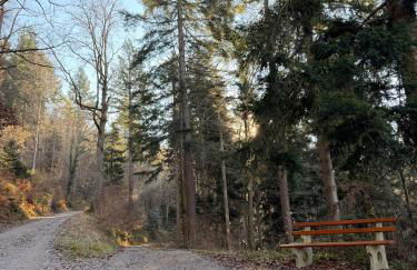 alexas forest hideaway - Foto 3