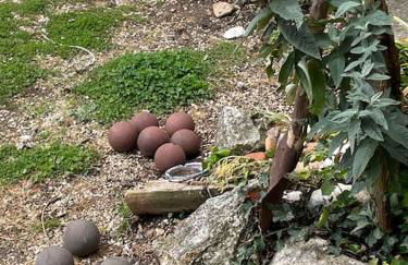 Casa dell'Antica Norba, Norma - big house - Foto 45