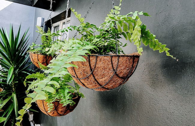 The Seagull Hermanus - Foto 49