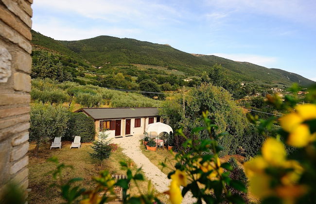 Agriturismo Colle degli Olivi - Foto 50