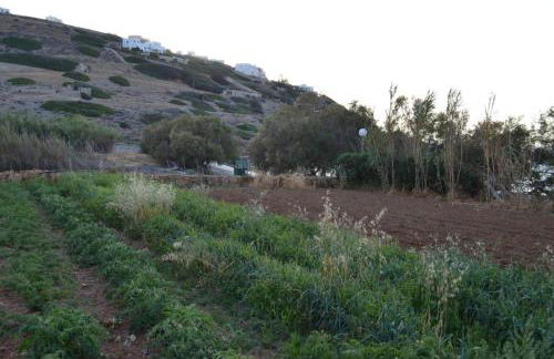 White Lotus seaside studio - Photo 28