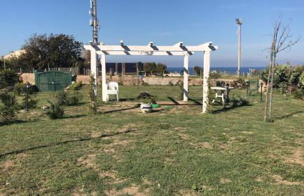 La Cantina - Foto 10