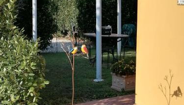 Il Nido - Photo 5, Garden