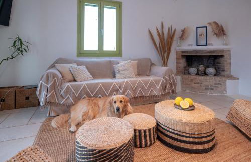 Ventu Paros Villa - Photo 24