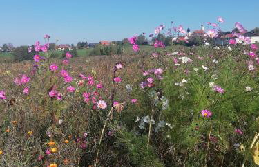 Haus Rosenbusch - Foto 18
