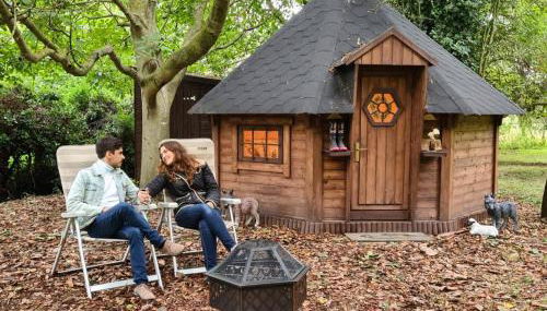 Starry Meadow & Rescued Animal Experiences - Foto 2